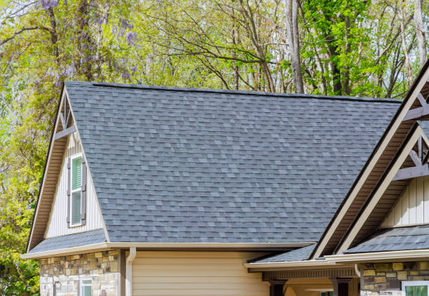 Best Roof Moss and Algae Removal  in Rion Center, MA